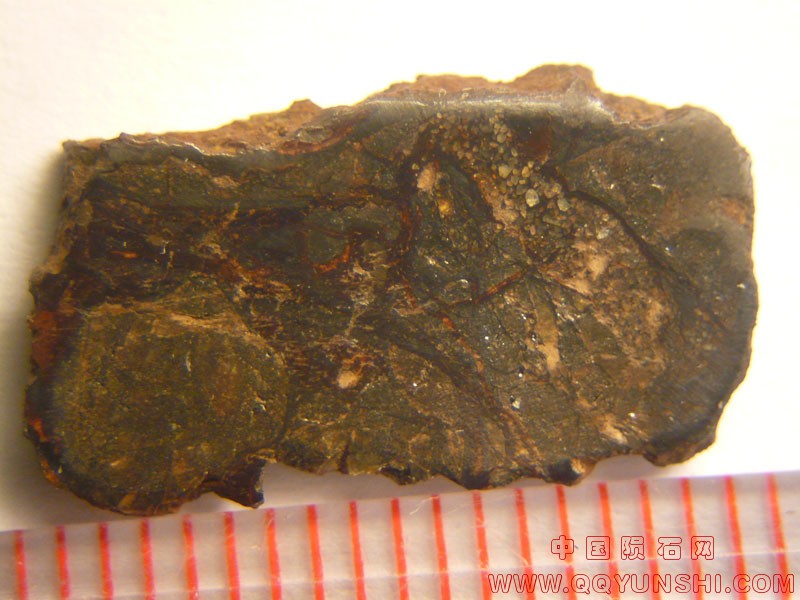 44951_9942_2585.jpg