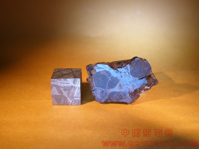 44951_24890_2639.jpg
