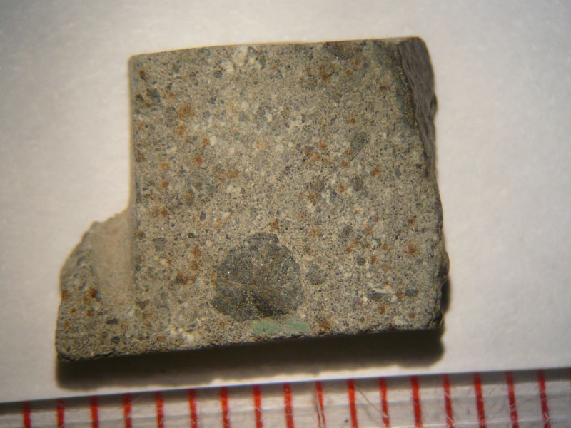 32477_23617_2585.jpg