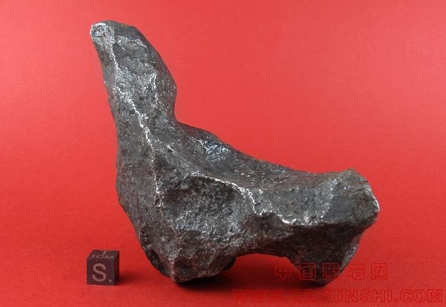 陨石-狗campo-1045-i.jpg