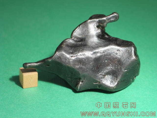 陨石-鸭子SA219-4A.jpg