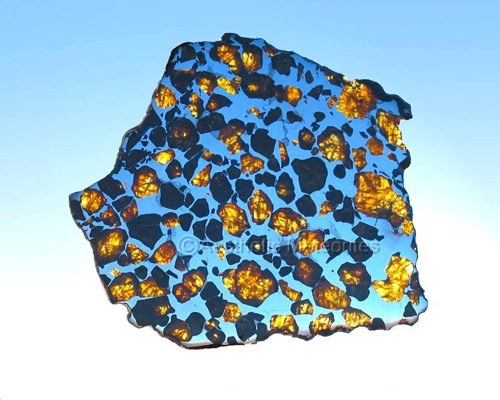 Imilac-Pallasite-2[1].jpg