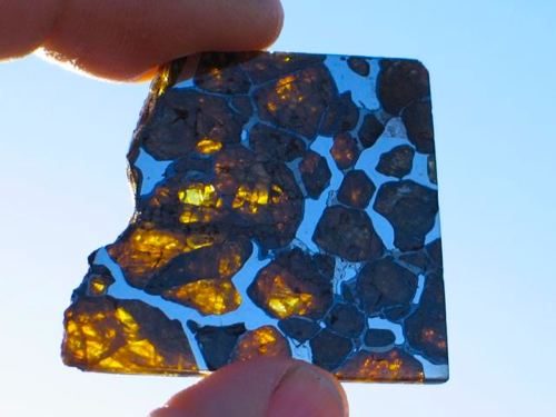 Imilac-Pallasite-15[1].jpg