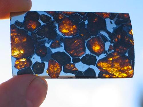 Imilac-Pallasite-14[1].jpg