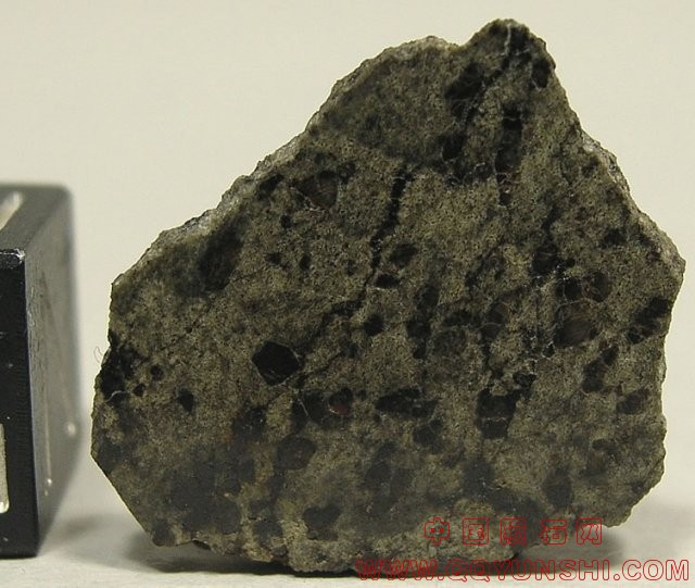 6282_4575_1575.jpg