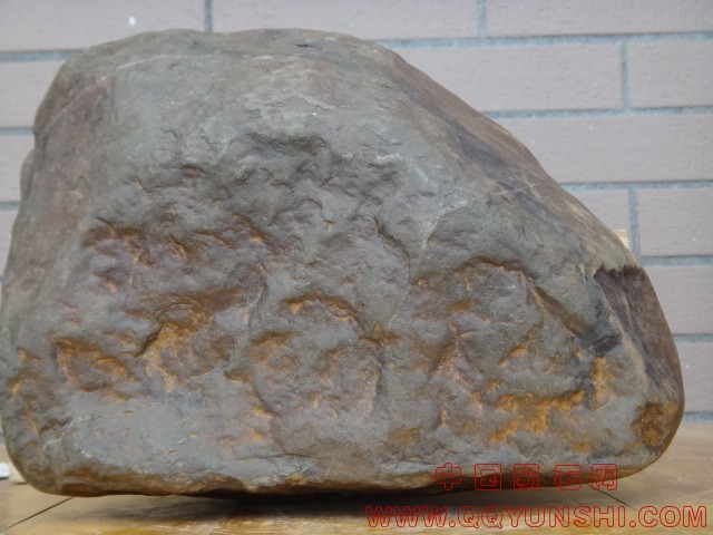 DSC03459.JPG