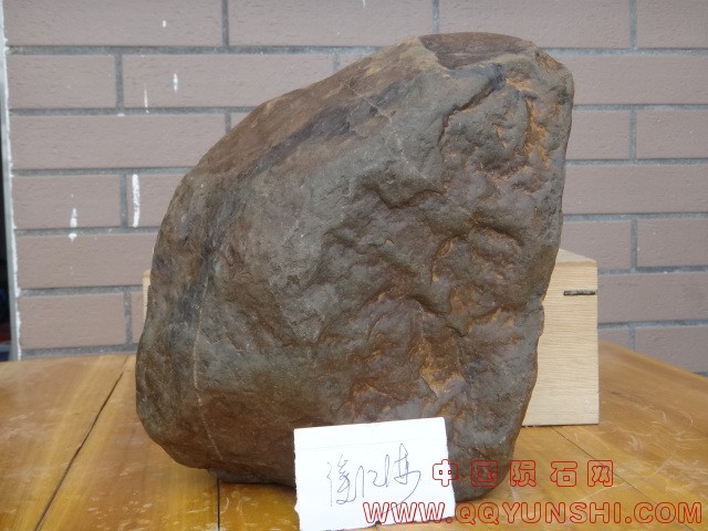 DSC03455.JPG