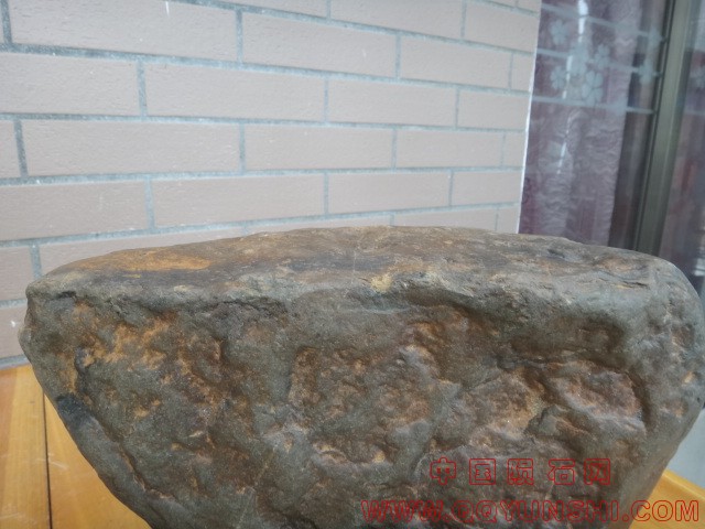 DSC03415.JPG