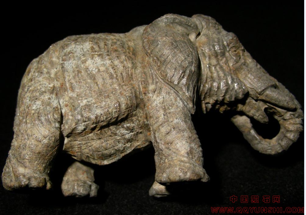 meteorite_elephant_top_4[1].jpg