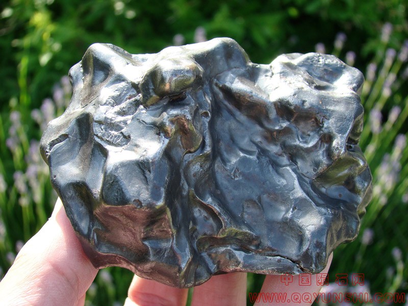 23593_6916_2580.jpg