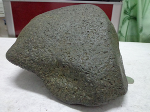DSC01057.jpg