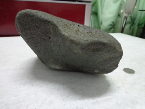 DSC01081.jpg
