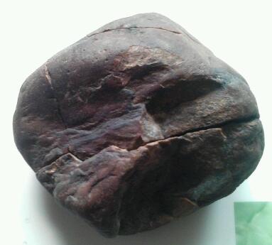 Camera_20130224_114633-1.jpg