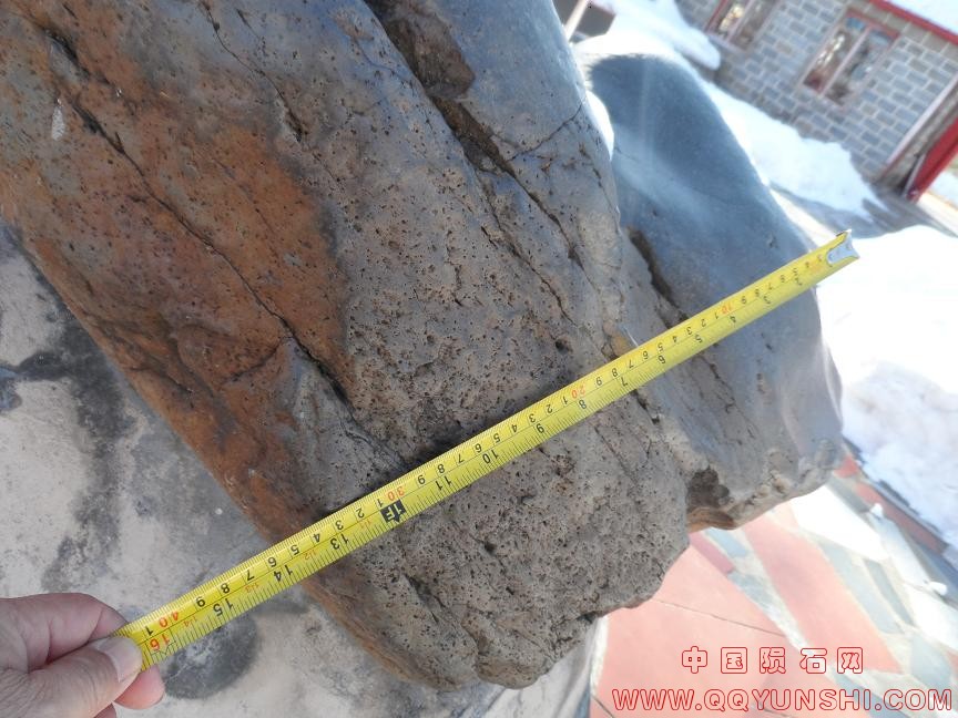 鉴定图片3.JPG