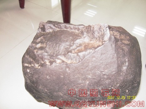 SDC10022_调整大小.jpg