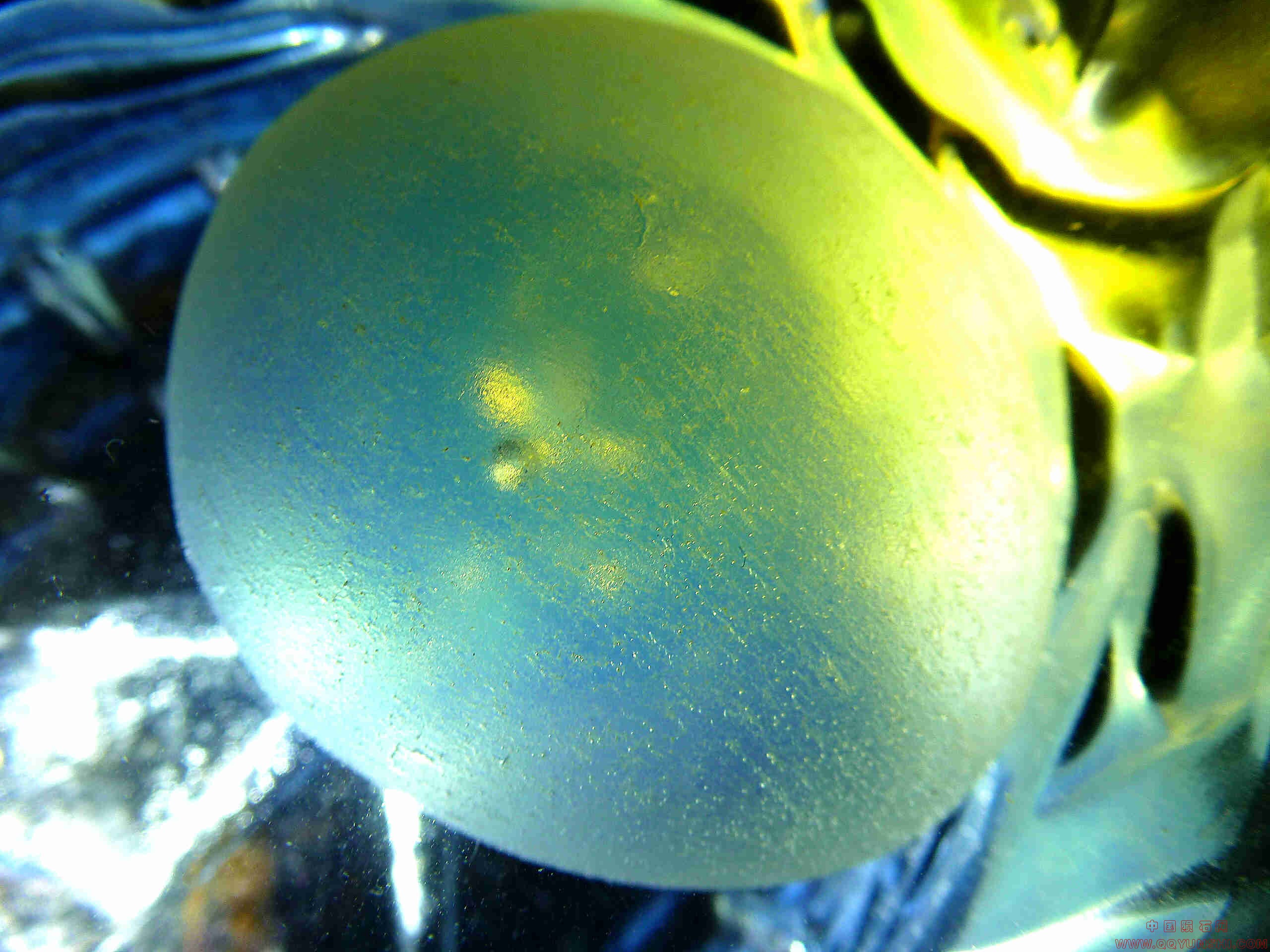 P1020431.jpg
