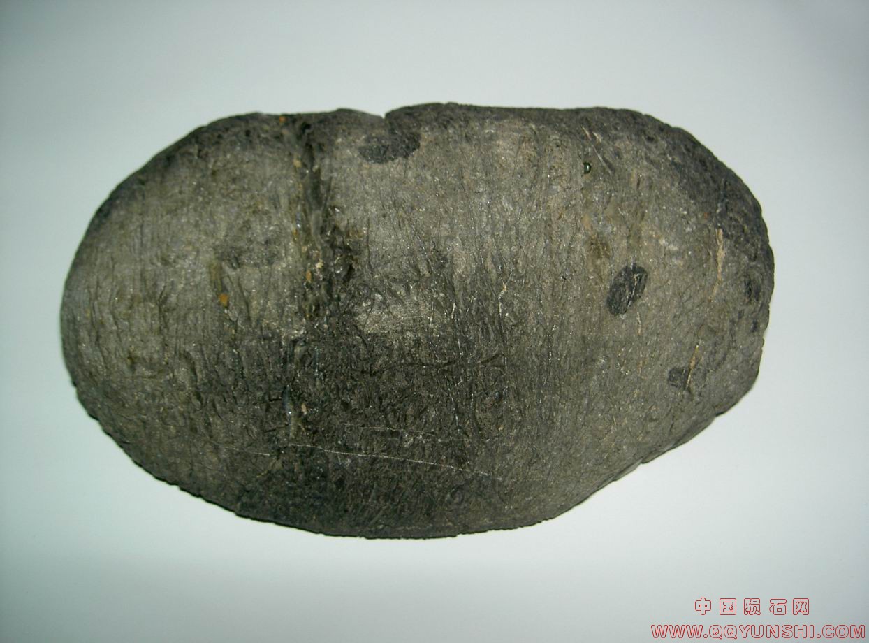 PICT0237.JPG