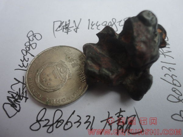 DSC01159.JPG