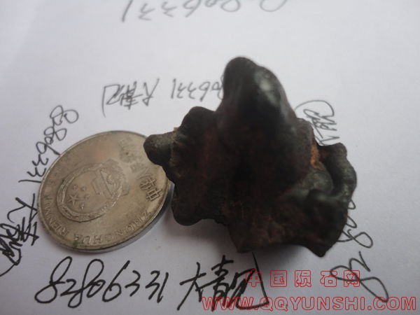 DSC01161.JPG