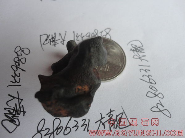 DSC01164.JPG