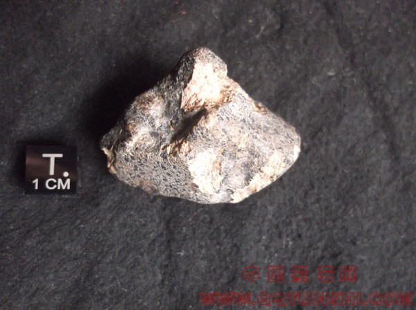 martian_nwa7397_45g web.jpg