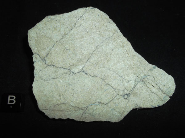 NWA 6950_171g_cut web.jpg
