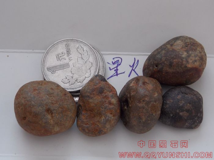 照片 1308.jpg