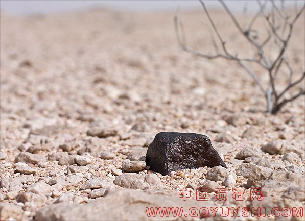 desert varnish on meteorite.jpg