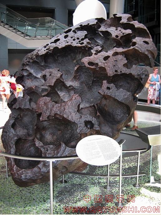 450px-Willamette_Meteorite_AMNH[1].jpg