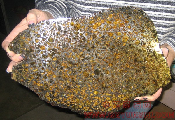 5-brahimSlice[2]Brahin.jpg
