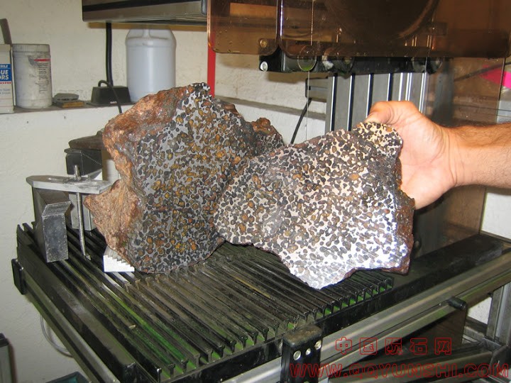 cut_Conception_Junction[1].jpg