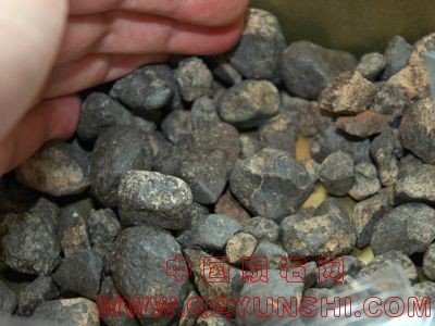 oc_nwa_pebbles_3181s.jpg
