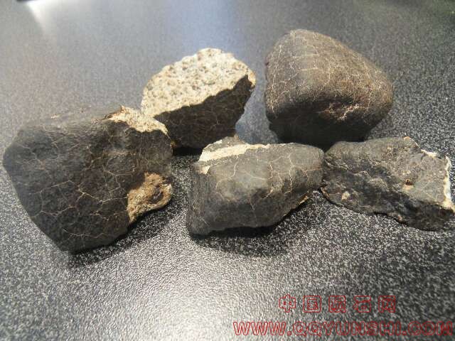 NWA-xxx-5-fragments-301-grs.jpg