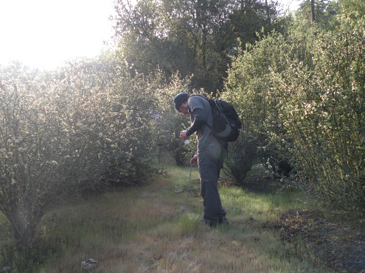 DSCN1716.jpg