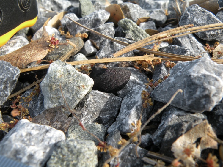 DSCN1749.jpg