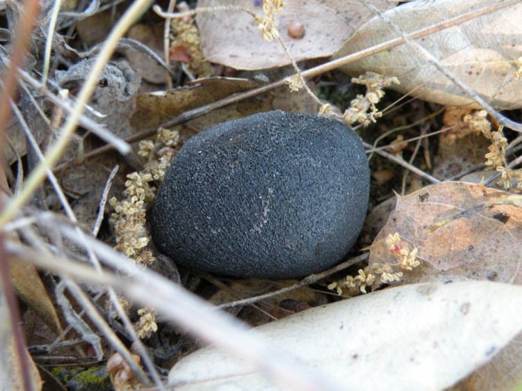 DSCN1807.jpg