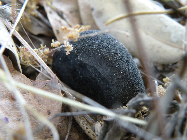 DSCN1810.jpg