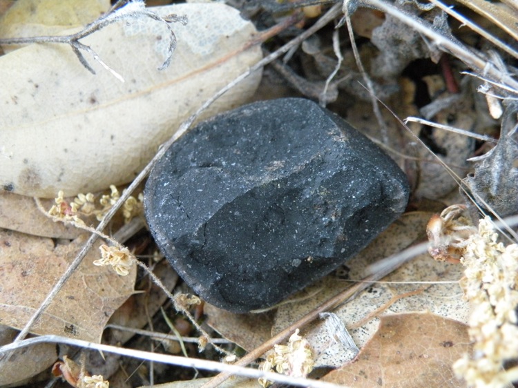 DSCN1829.jpg