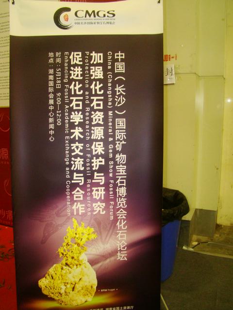 DSC02995.JPG