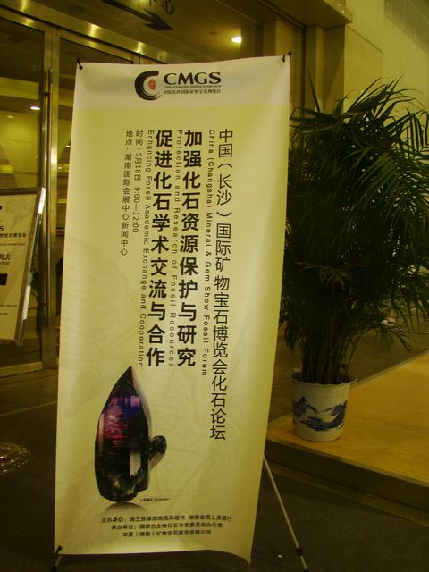 DSC02996.JPG