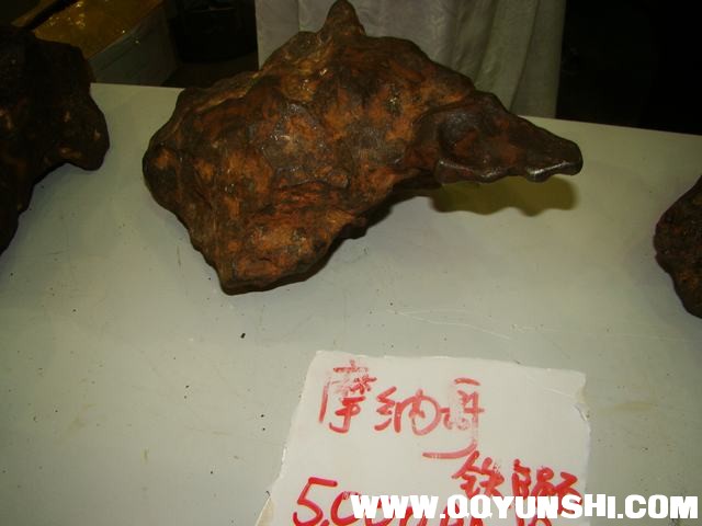 DSC02500.JPG