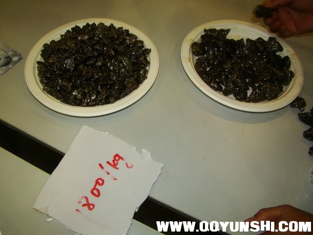 DSC02505.JPG