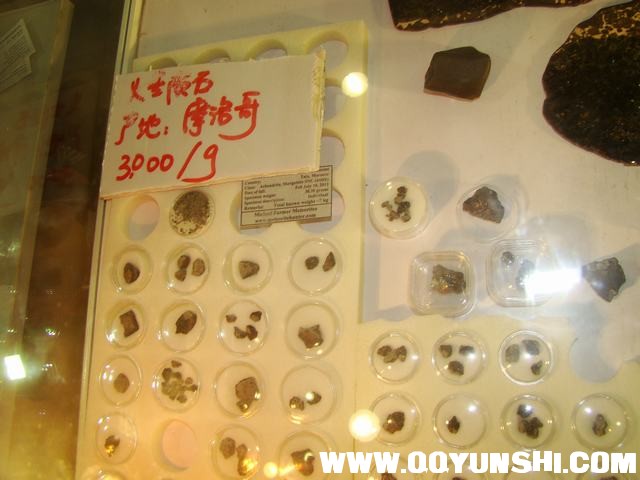 DSC02510.JPG