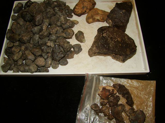 DSC02551.JPG