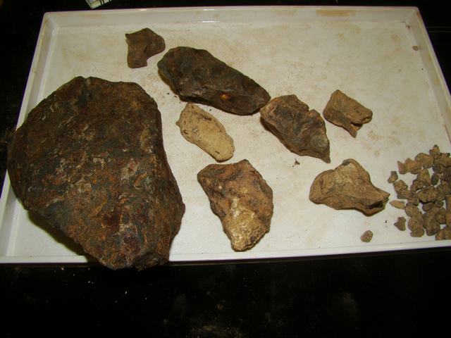 DSC02553.JPG
