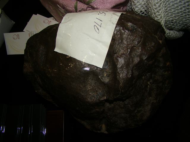 DSC02559.JPG