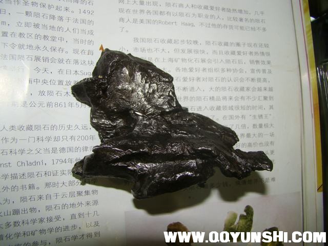 DSC02644.JPG