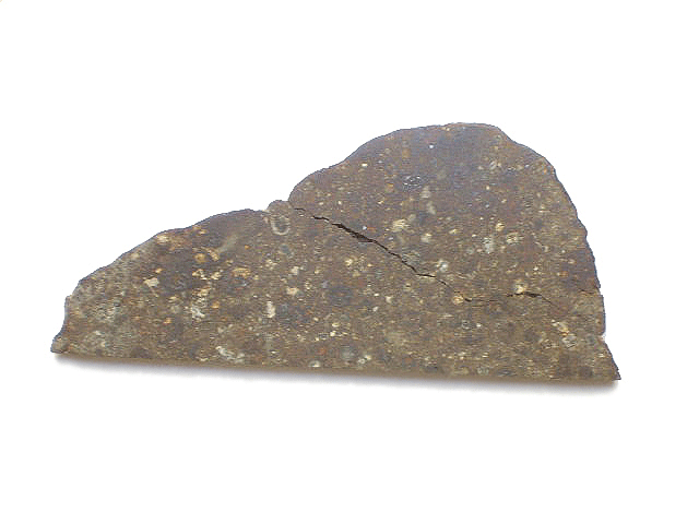 acfer328_meteoriteshow.gif