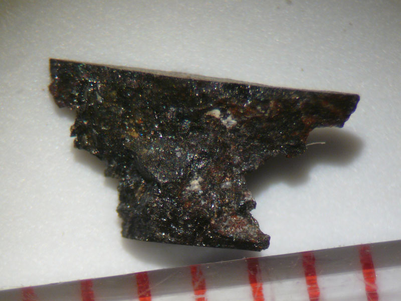 44948_24838_2585.jpg