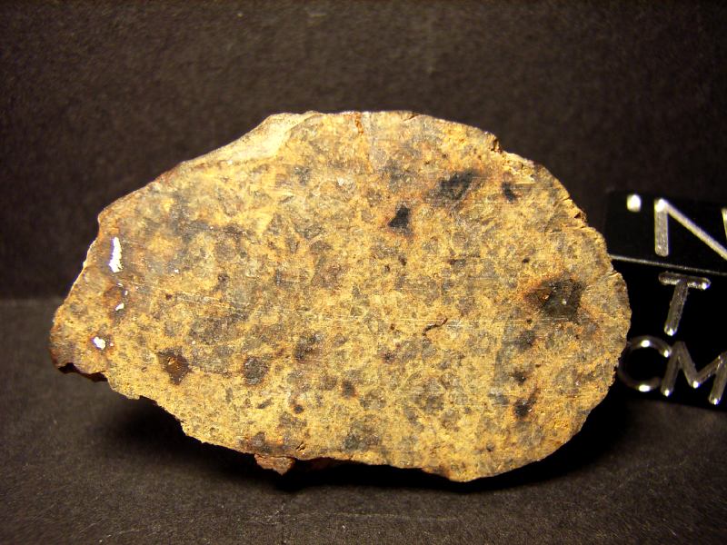 48941_8542_217.jpg